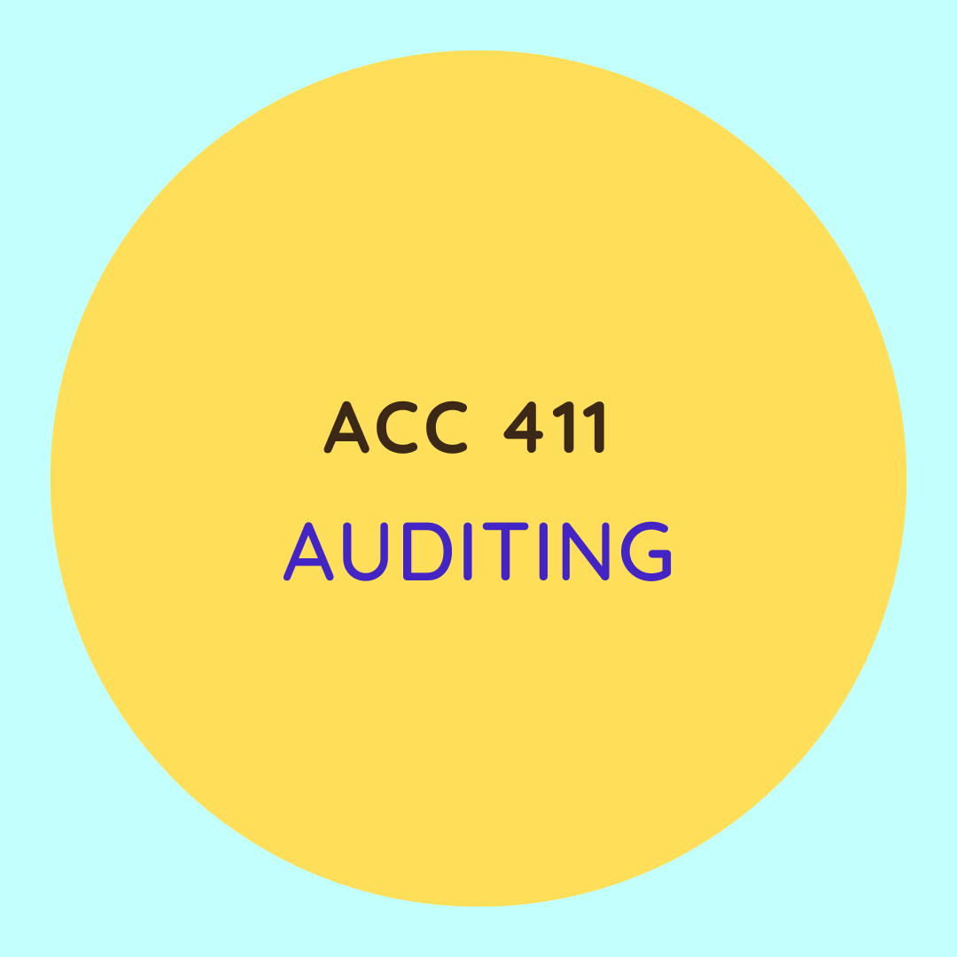 ACC 411 Auditing