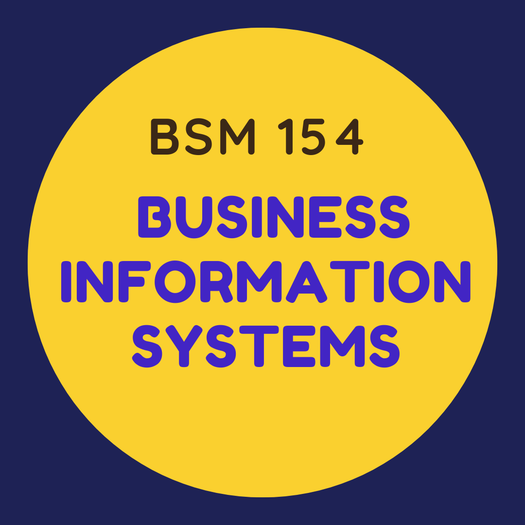 BSM 154 Business Information Systems