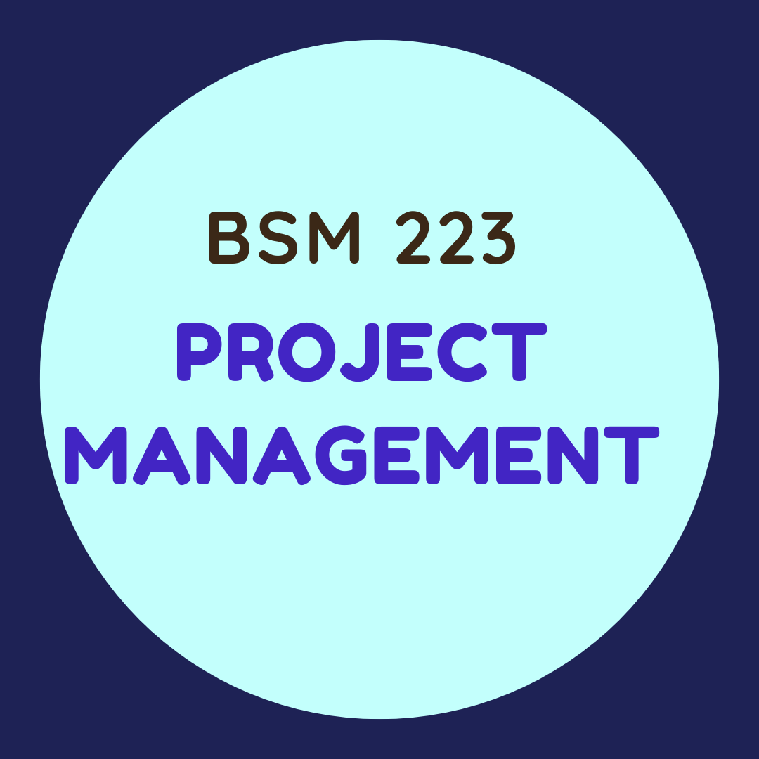 BSM 223 Project Management
