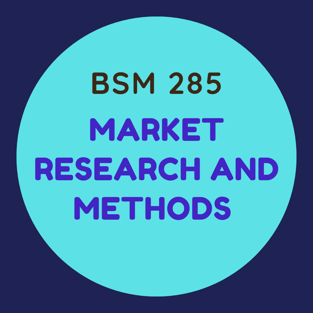 BSM 285 Market Research and Methods