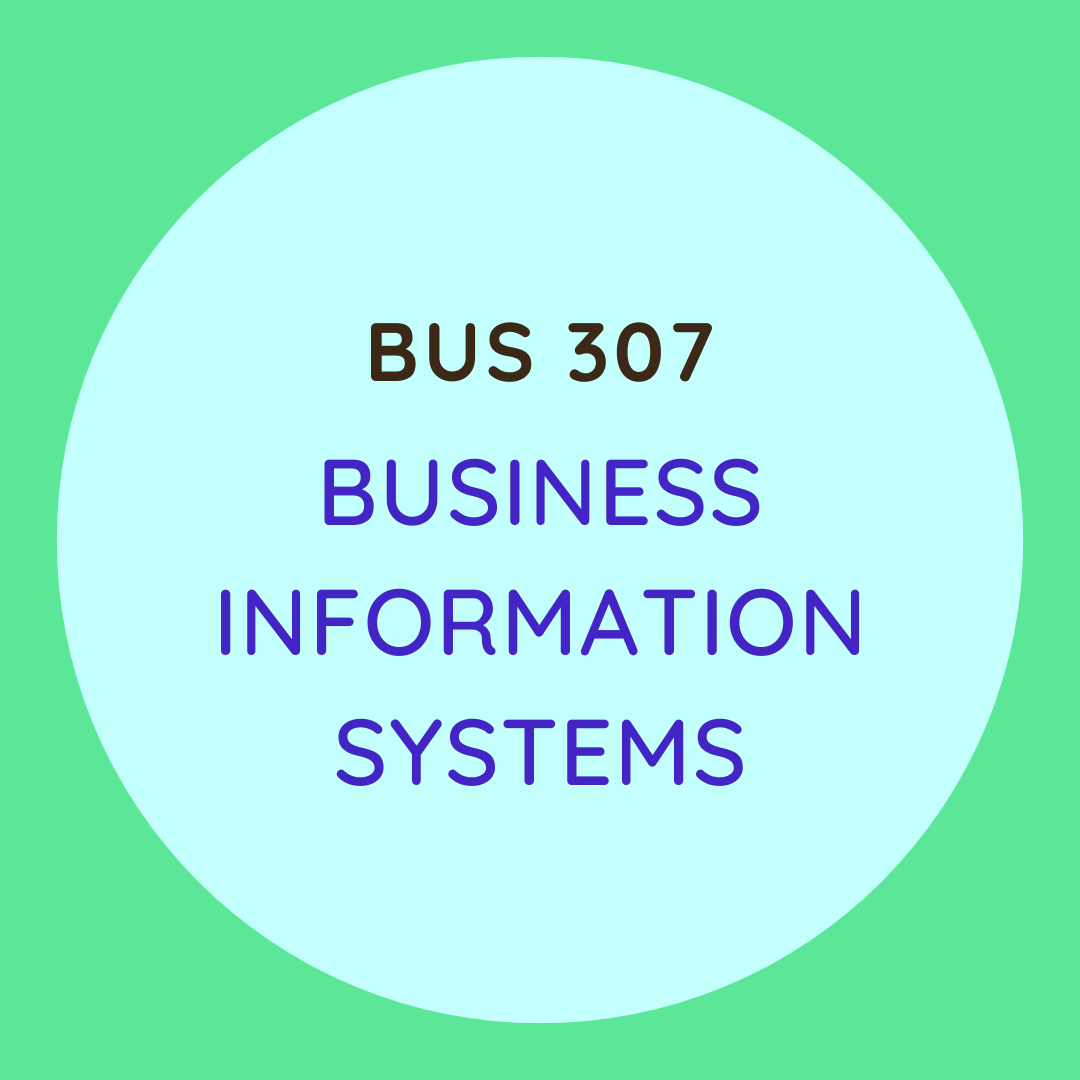 BUS	307 Business Information Systems