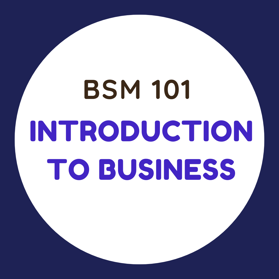 BSM 101 Introduction to Business