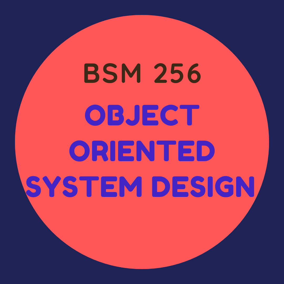 BSM 256 Object Oriented Systems Design