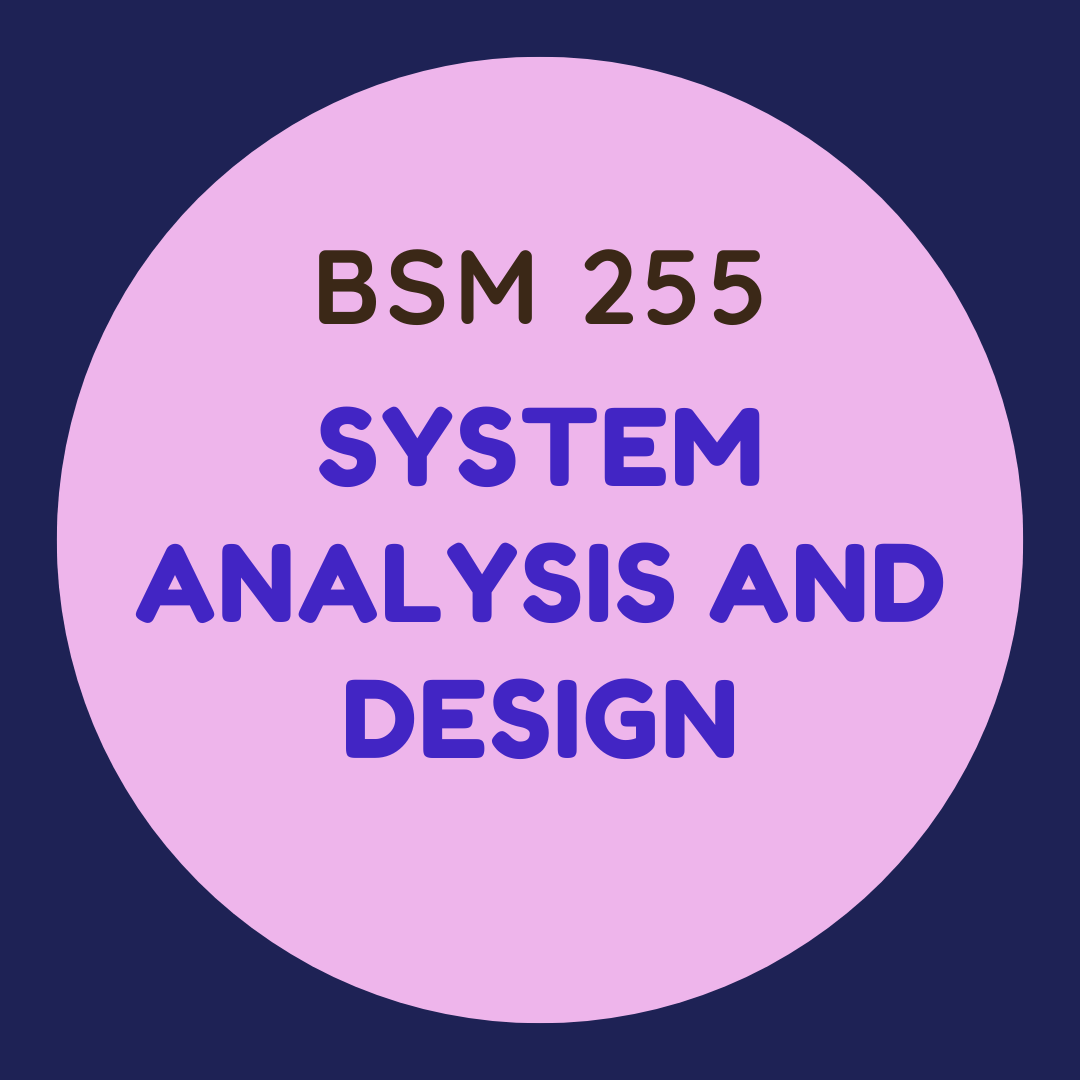 BSM 255 System Analysis and Design