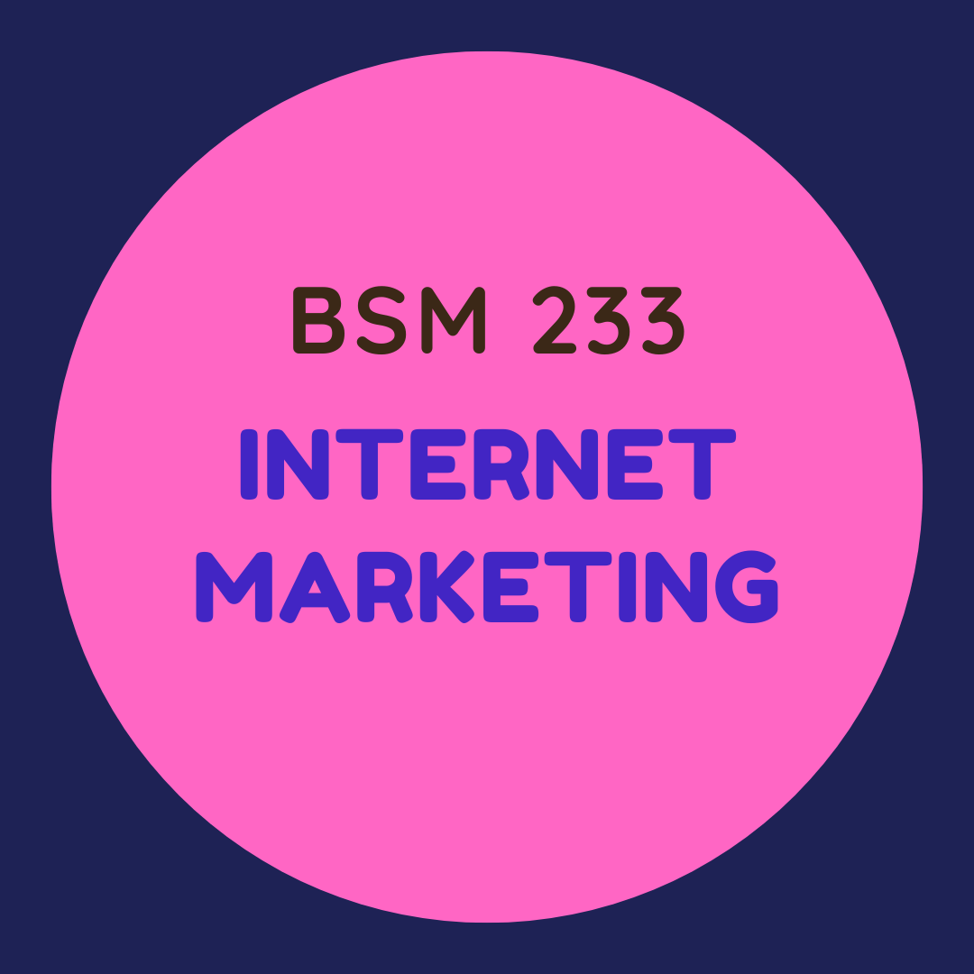 BSM 233 Internet Marketing