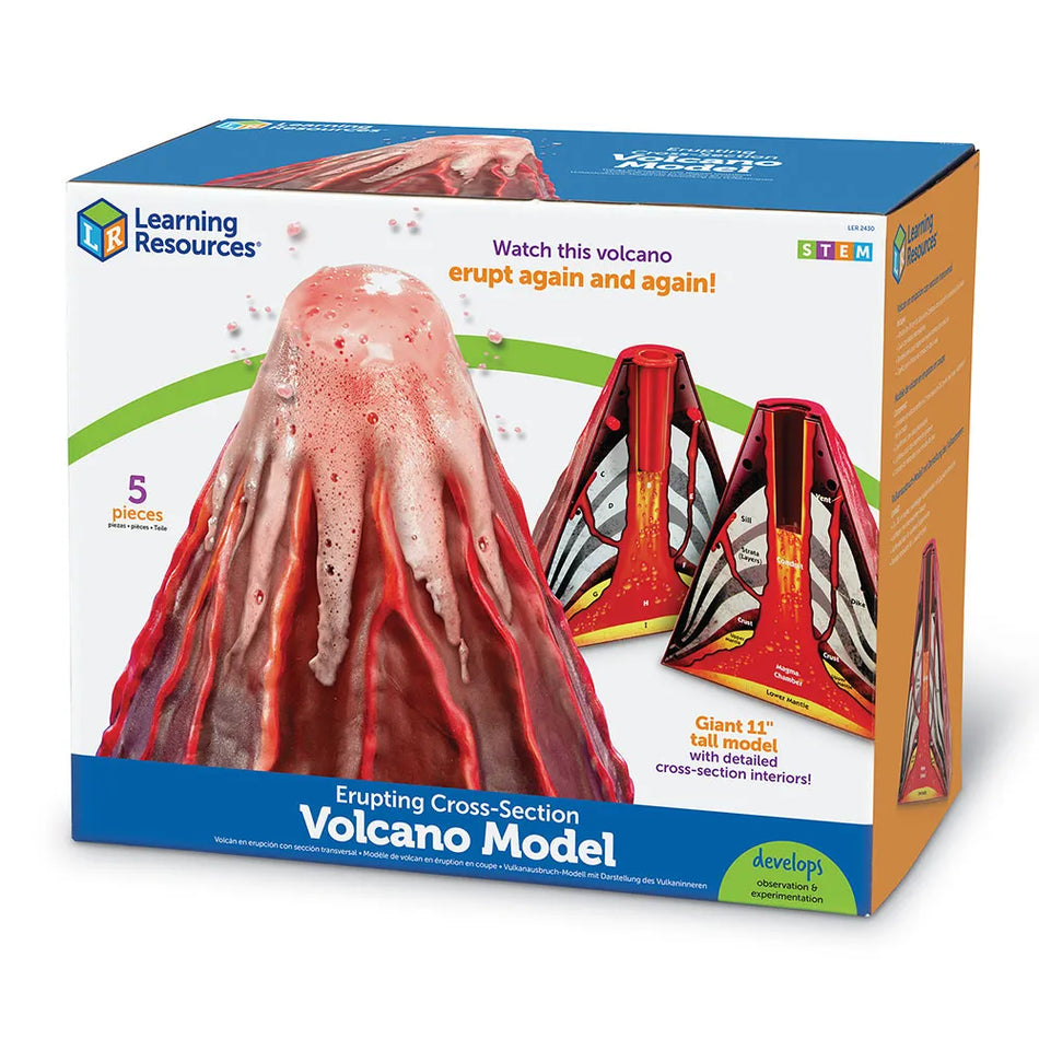 Erupting Cross-Section Volcano Model