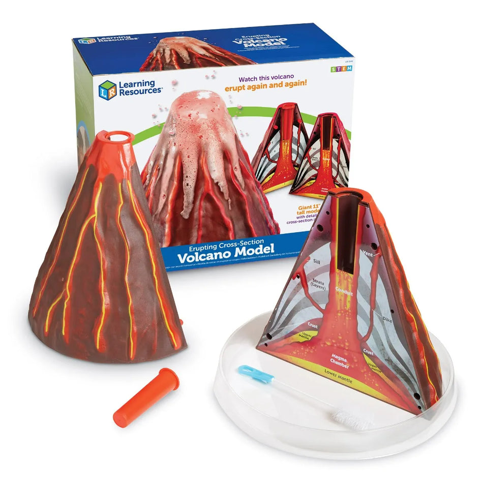 Erupting Cross-Section Volcano Model