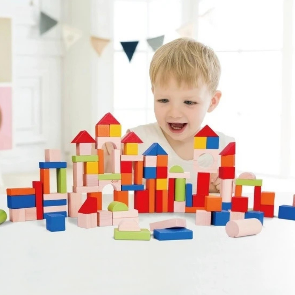 Coloured Wooden Building Blocks 100pk