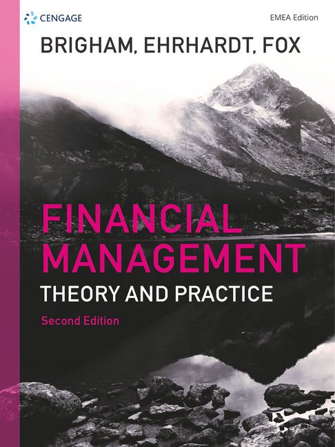 Financial Management EMEA: Theory and Practice (eBook)