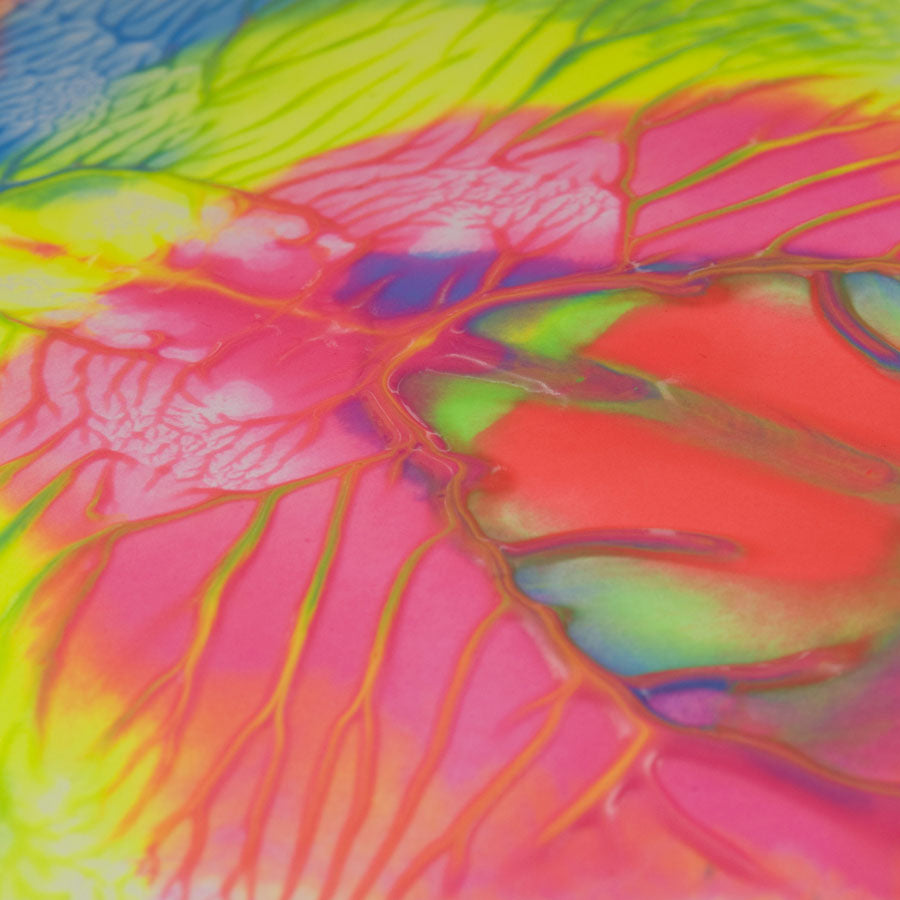 TTS Fluorescent Ready Mixed Paint 6pk