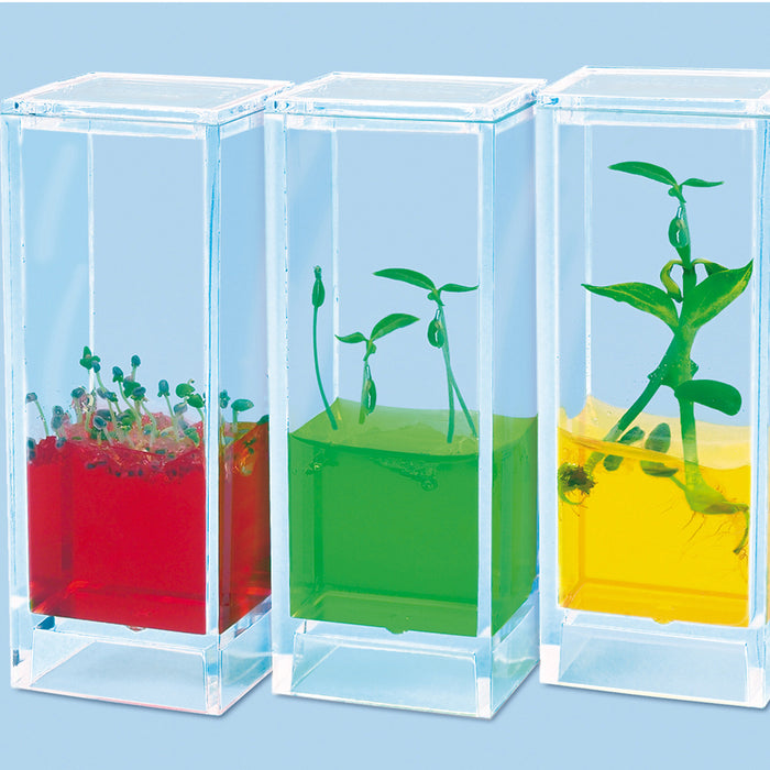 See Plants Grow Laboratory