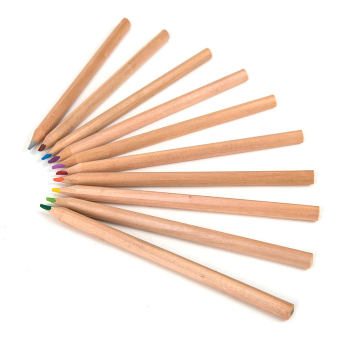 TTS Full Length Chunky Unlaquered Pencils 156pk