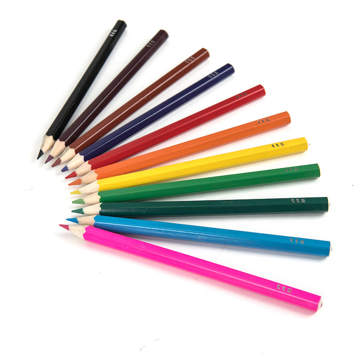 TTS Assorted Jumbo Hex Colouring Pencils 36pk